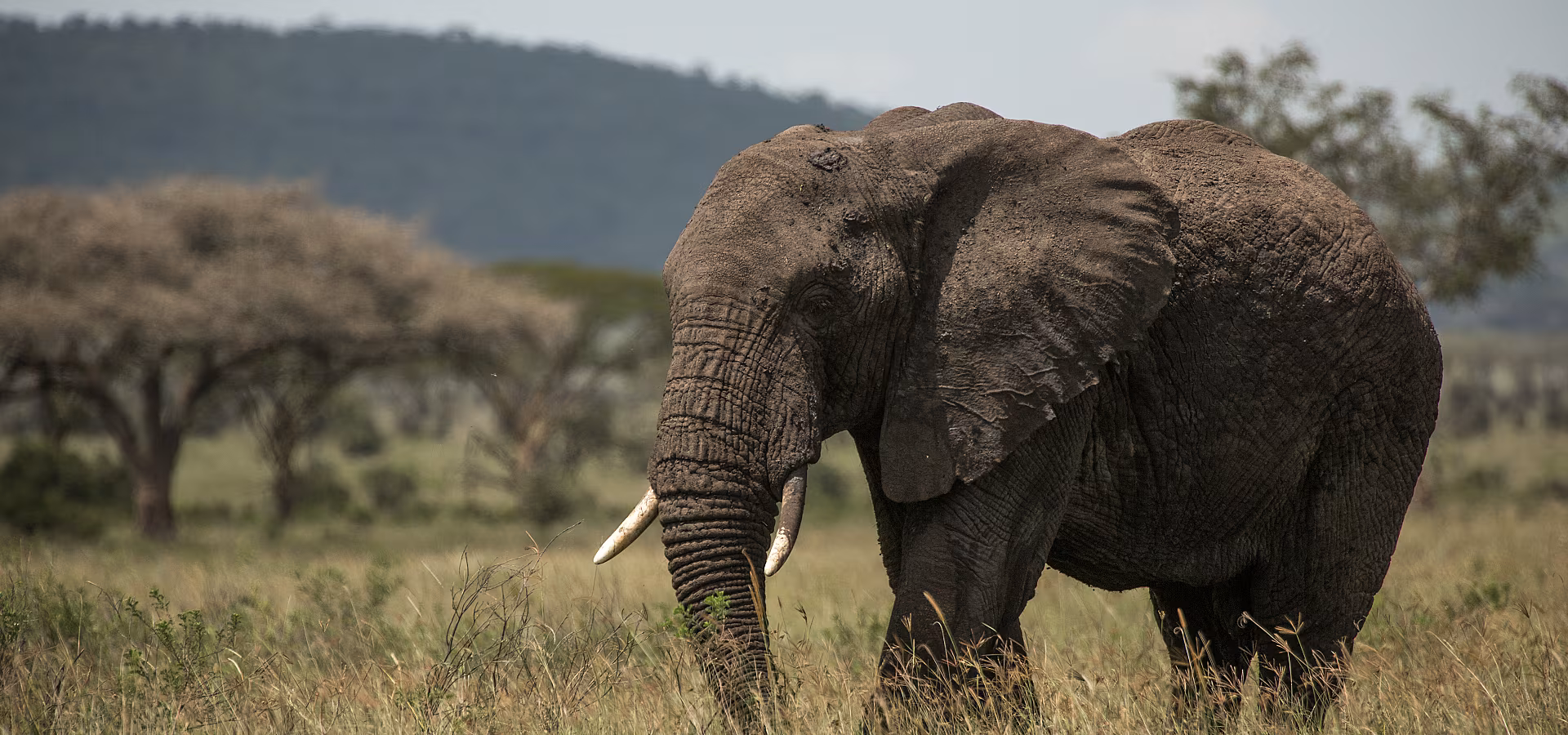 3 Days Safari Start From Nairobi To Nairobi